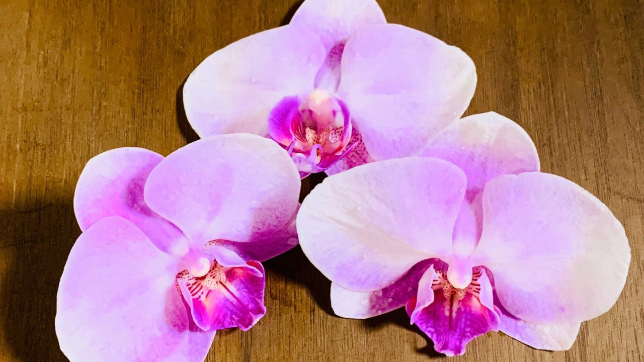 朝霞みんなの整骨院の特徴イメージ